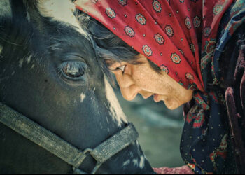 “بێ هه‌موو شتێک” بە ڕۆڵ بینینی “هەدیە تێهرانی” لە سینەما “سالم”ی سلێمانی نمایش دەکرێت