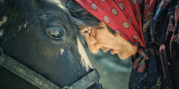“بێ هه‌موو شتێک” بە ڕۆڵ بینینی “هەدیە تێهرانی” لە سینەما “سالم”ی سلێمانی نمایش دەکرێت