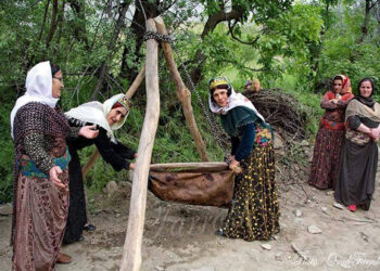 کورتە چـیرۆک بۆ منـداڵان: داپـیـرەم حـەزی لە کـارە..