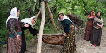 کورتە چـیرۆک بۆ منـداڵان: داپـیـرەم حـەزی لە کـارە..