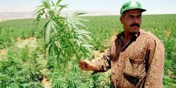 گژوگیا بۆمان دێت