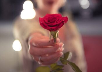 نهـێـنیـیەکانی زمـانی گـوڵ..