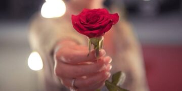 نهـێـنیـیەکانی زمـانی گـوڵ..