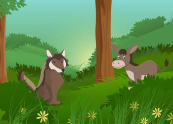 شانۆ بۆ هـەرزەکاران.. گـوێـدرێـژ و گـورگ..