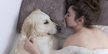 وەسوەسەی سێکسی نەفرەت لێکراو