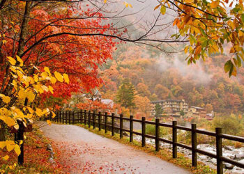 نەسیمی پاییز