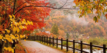 نەسیمی پاییز