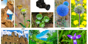 ھونەرمەند عومەرخدر کاکیل: فۆتۆگرافەری سەرکەوتوو پێش ھەموو شتێک ئەبێ عیشق و سەلیقەی بۆ کارەکە ھەبێت