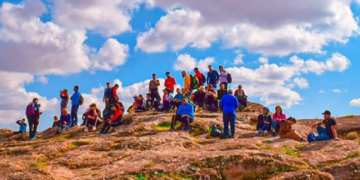 شاخەوانی بە مەرجی مردن !